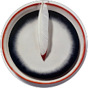 Katrin profile picture