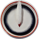 Katrin profile picture